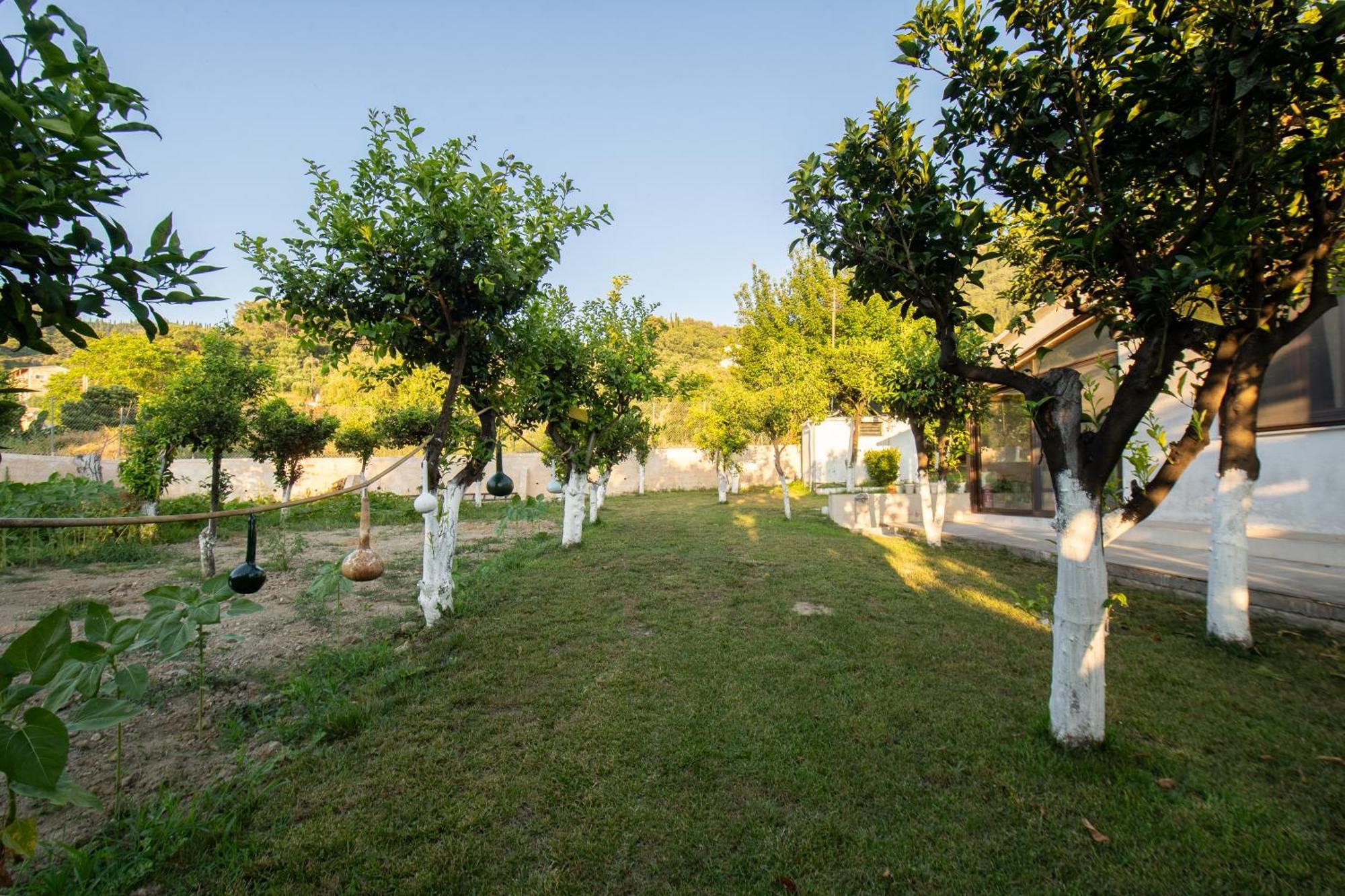 To Ktimataki Vila Agios Gordios  Exterior foto